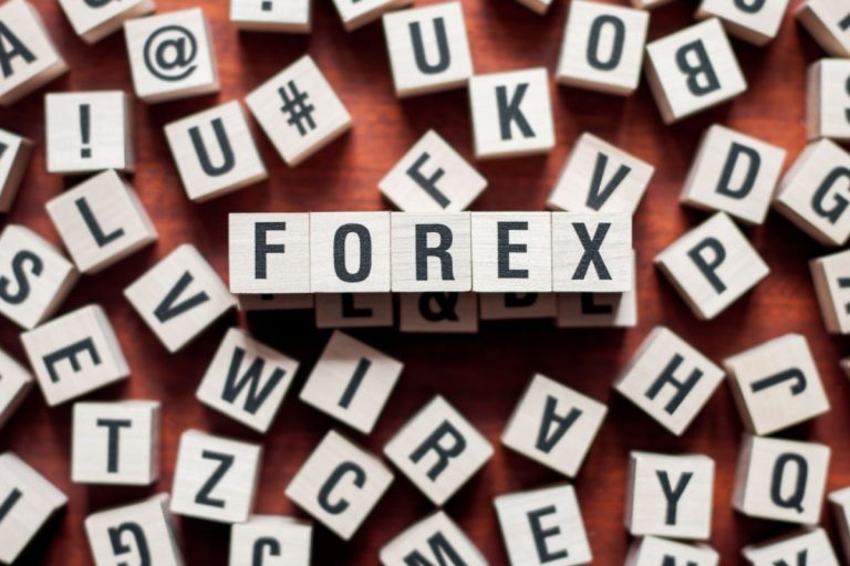 Forex Trading Terminology Every Beginner Must Know